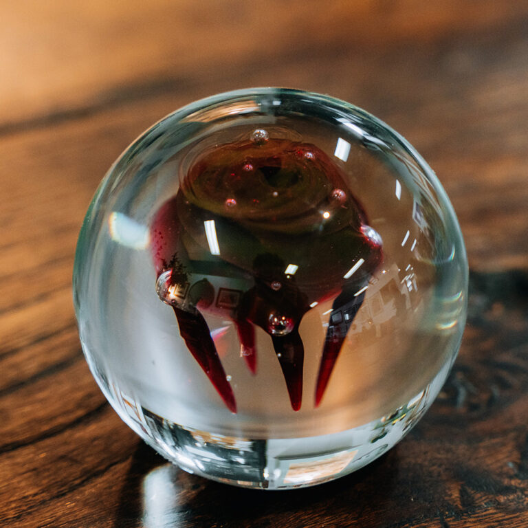 Caithness ‘Space Rose’ paperweight