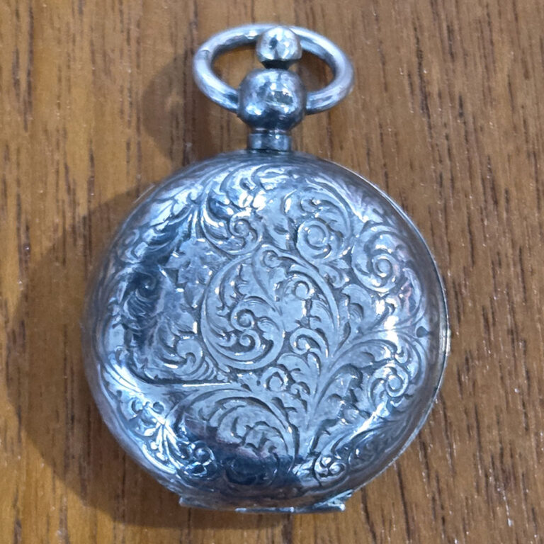 silver sovereign case