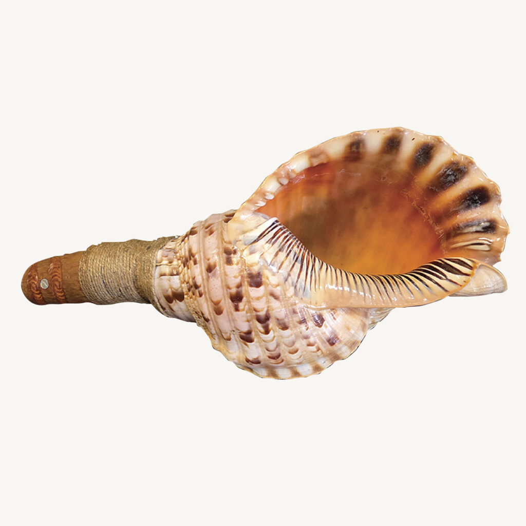 Maori Putatara signalling trumpet