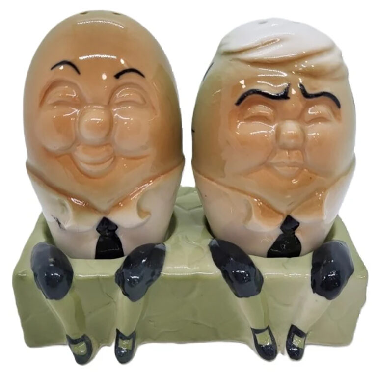 Novelty salt and pepper shaker set