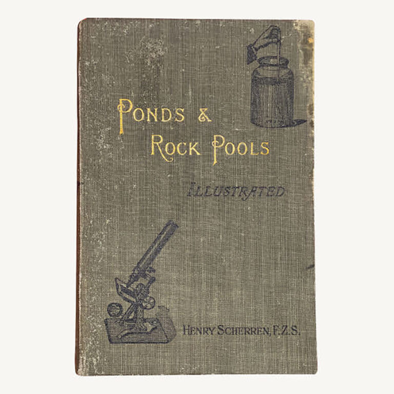 Vintage book, Ponds & Rock Pools