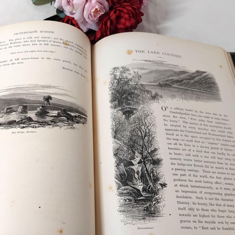 vintage cloth bound book, picturesque europe