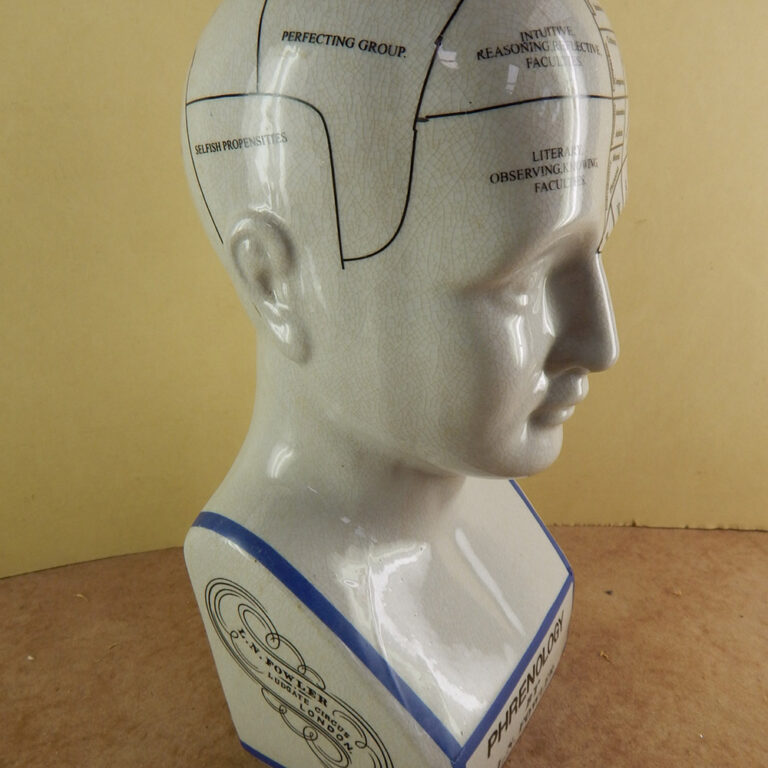 Ceramic Phrenology head