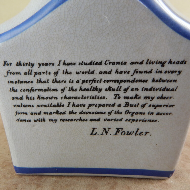 Ceramic Phrenology head