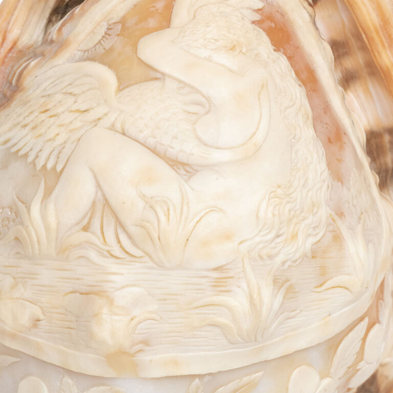 Conch shell table lamp c.1890 with carved cameo