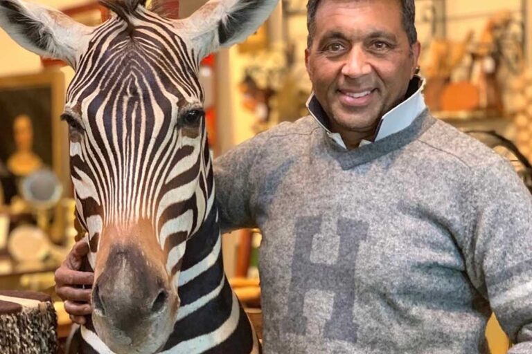 Rare antiques and taxidermy at Grange Antiques, Latrobe, Tasmania