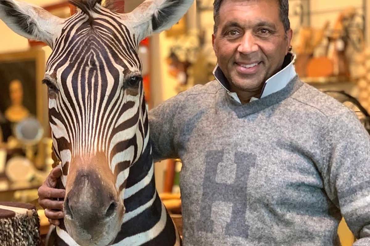 Rare antiques and taxidermy at Grange Antiques, Latrobe, Tasmania