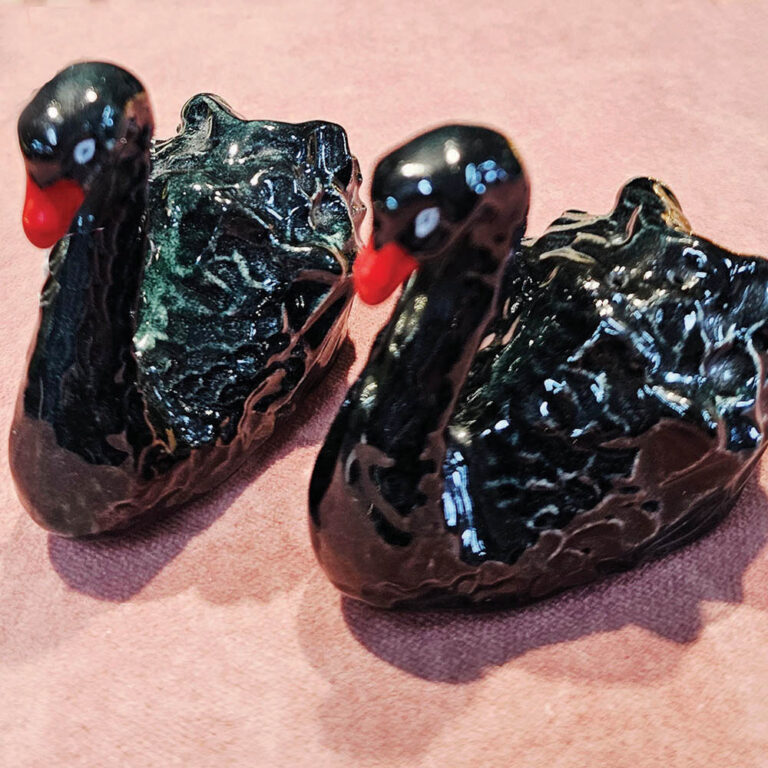 Darbyshire pottery novelty salt and pepper set black swans