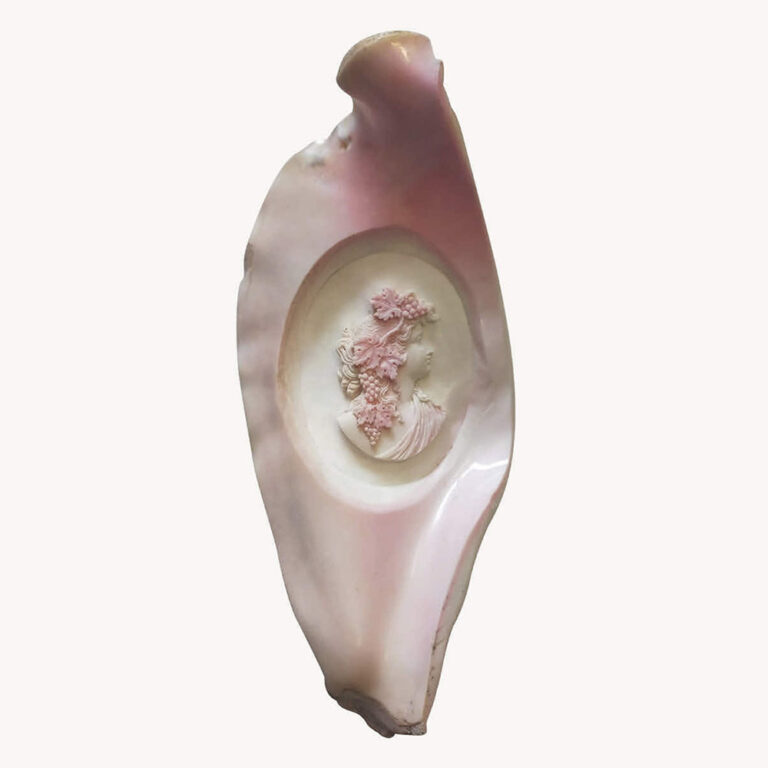 Beautifully carved cameo conch shell