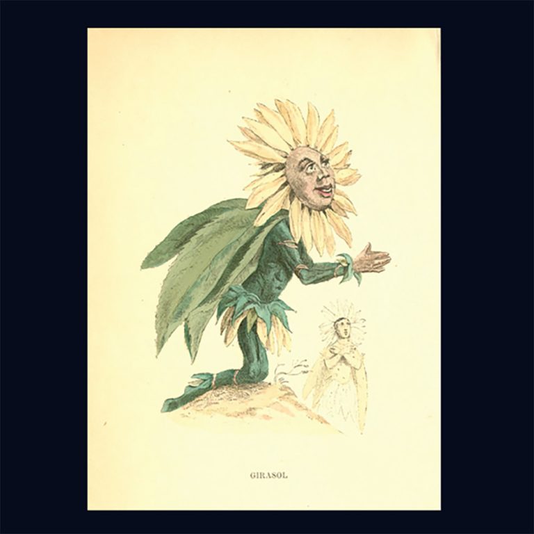Sunflower worshipping the Sun 'Girasol' antique print by Jean-Jacques Grandville