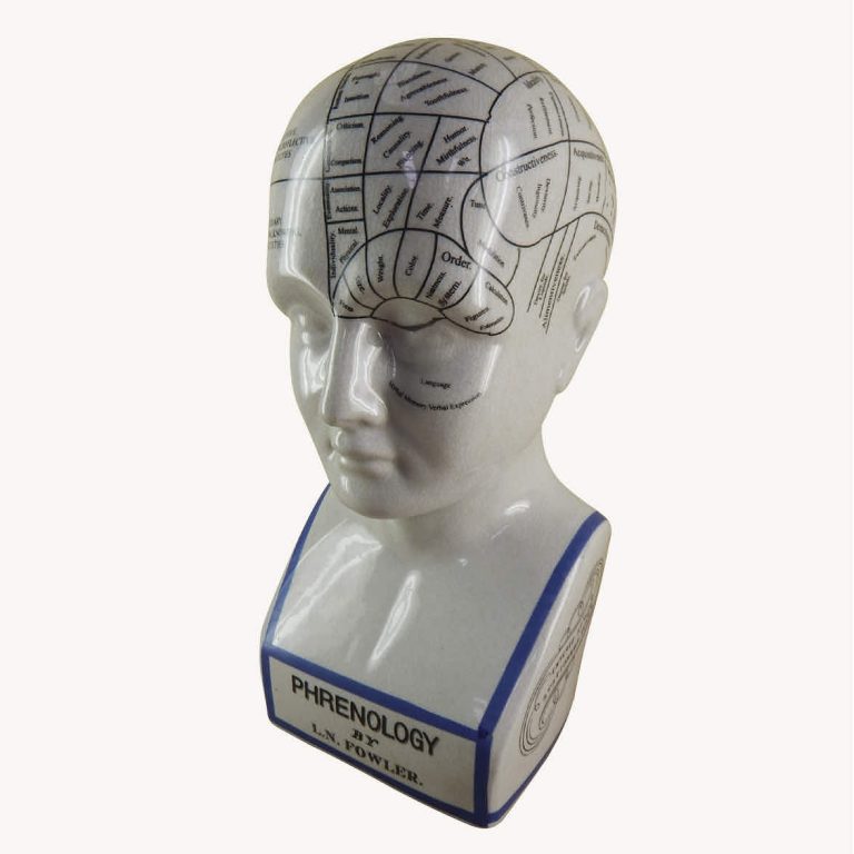 Ceramic Phrenology head