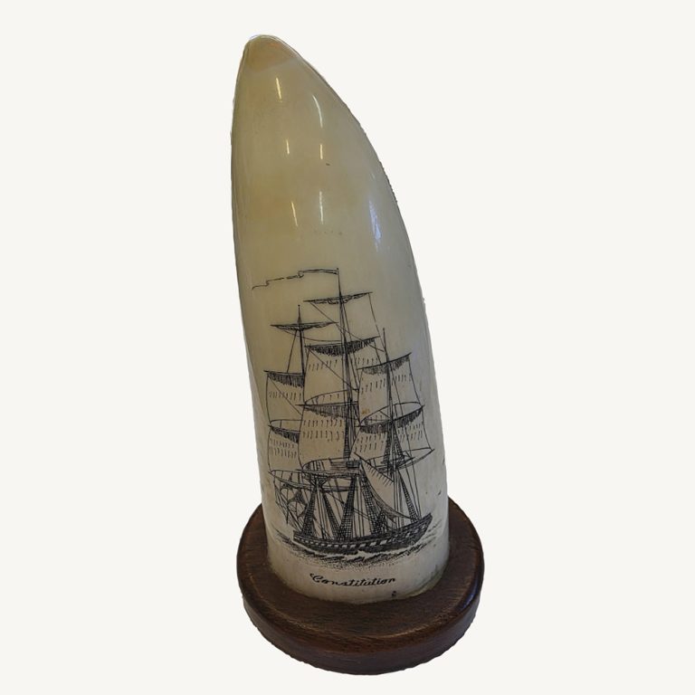 scrimshaw whale tooth
