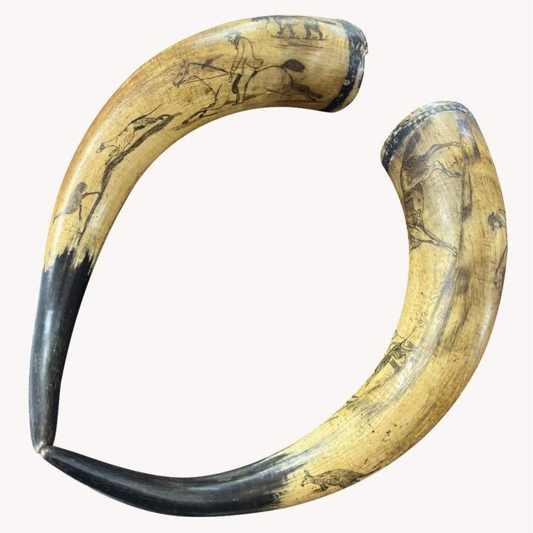 Rare pair of bullock horns of Australian origin c.1850