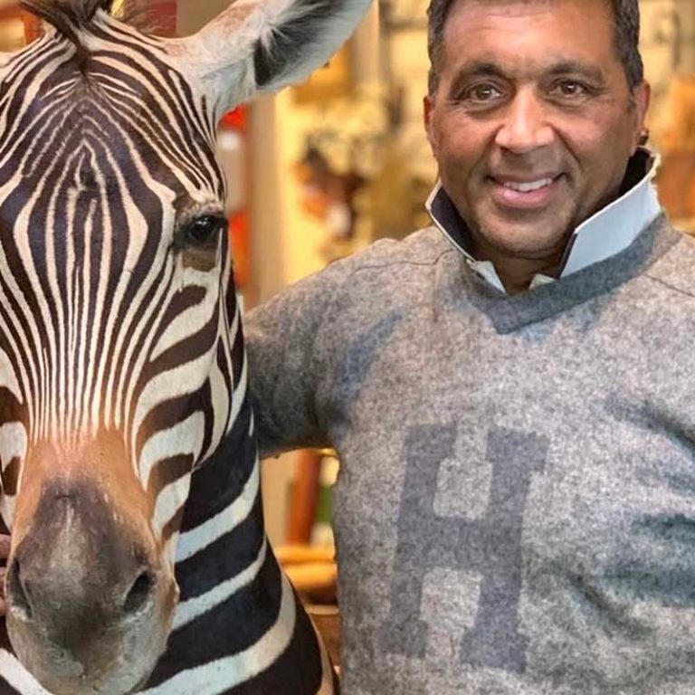 Rare antiques and taxidermy at Grange Antiques, Latrobe, Tasmania