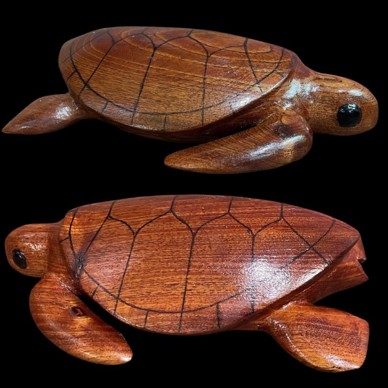 australia-gallery-cedar-turtle