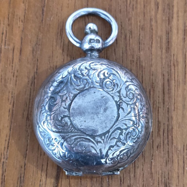 silver sovereign case