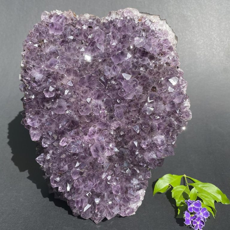 mystic-union-4-fossil