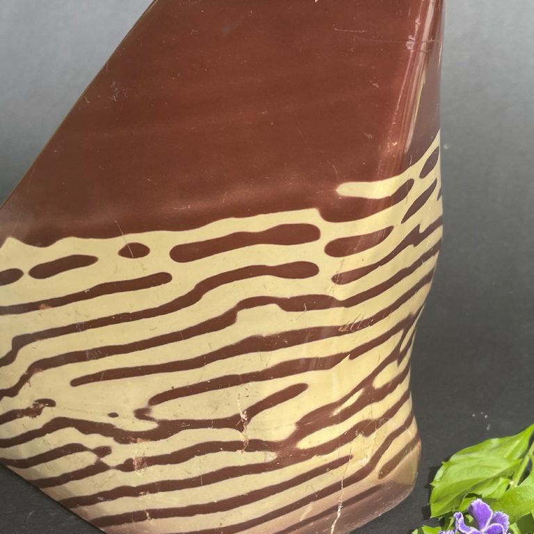 mystic-union-5-fossil