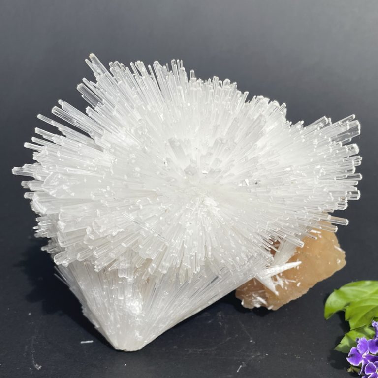 mystic-union-6-fossil