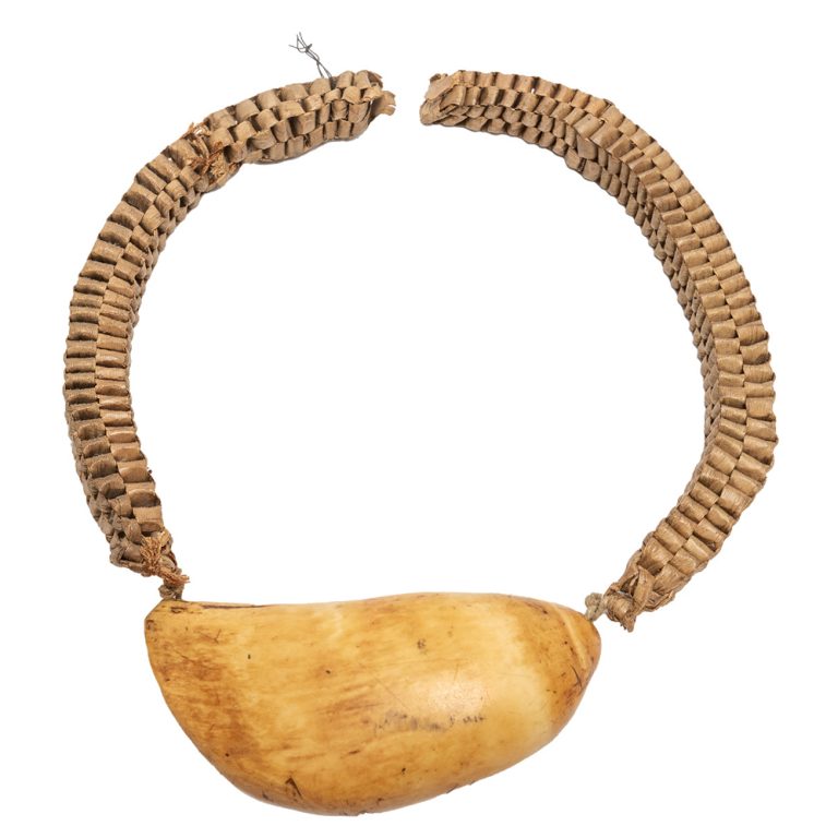 past-connections-antiques-whale-tooth